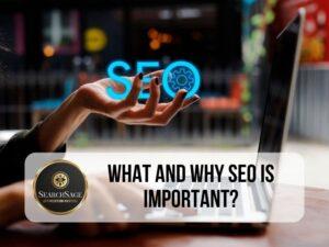 What and Why SEO is Important